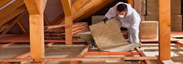 Best Weatherproofing Services  in Trempealeau, WI