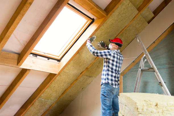 Best Insulation Air Sealing  in Trempealeau, WI