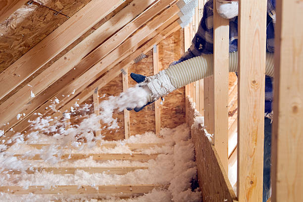 Best Spray Foam Insulation  in Trempealeau, WI