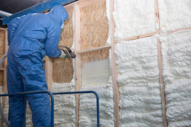 Reliable Trempealeau, WI Insulation Services Solutions